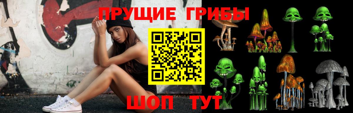 Галлюциногенные грибы Psilocybe Нижневартовск